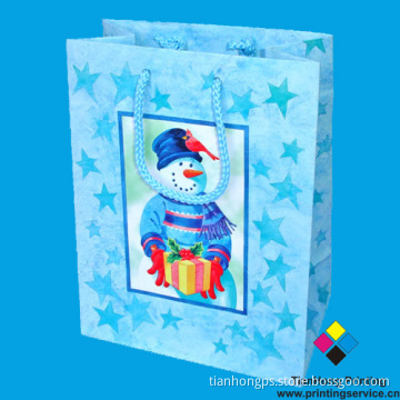 Shopping Bags (OEM-PB007)